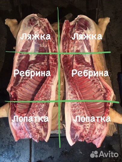 Свинина домашняя