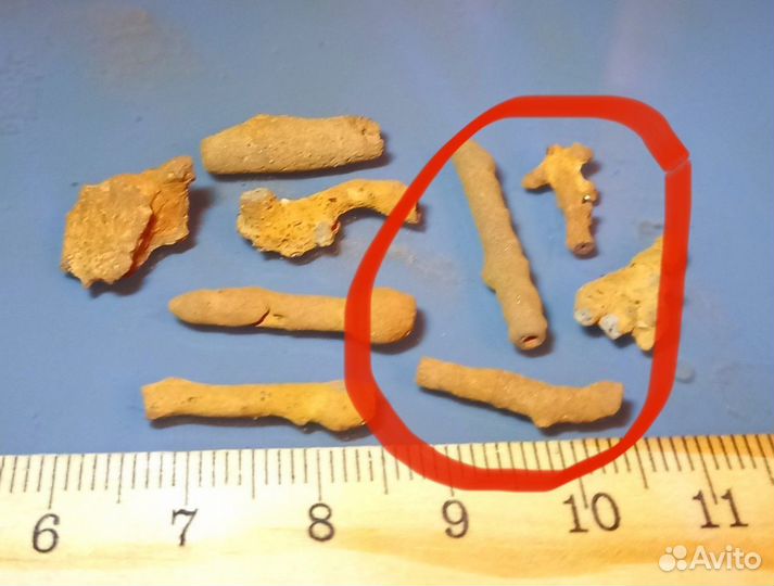 4 корня и 2 бокса