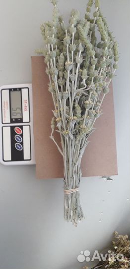 Травы в пучках Зверобой Душыца Полынь Железница