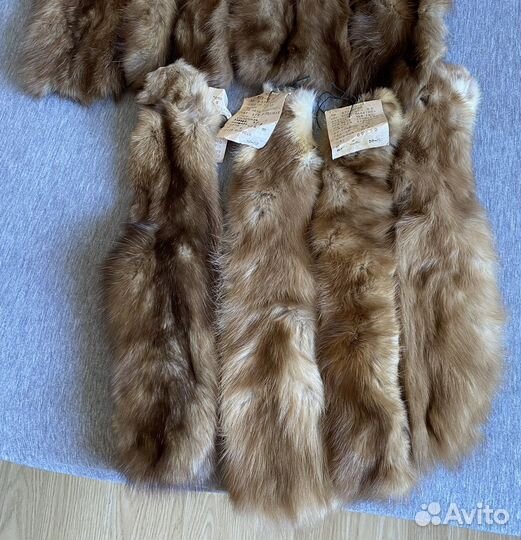 Шкурки соболя