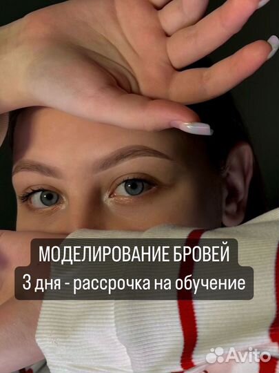 Курс бровист