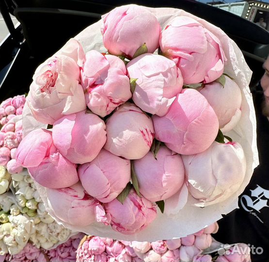 Пионы Букет пионов Доставка