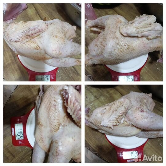Мясо молодых петушков