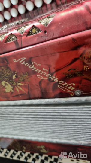 Гармонь Любительская соль мажор