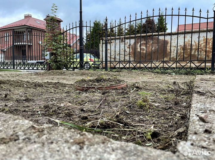 Рулонный газон. Укладка за 1 день