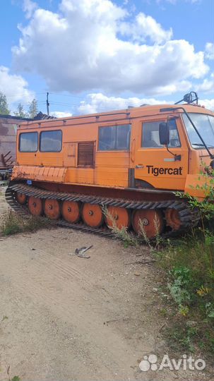 Снегоболотоход ттм 3902тп-01