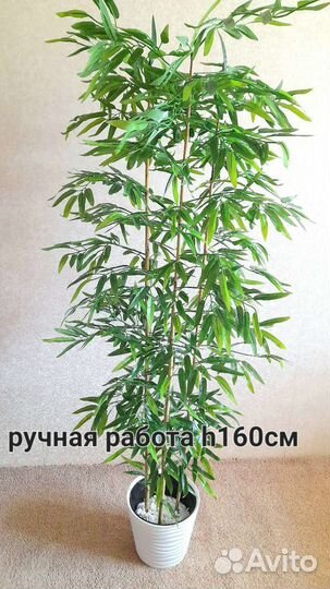 Бамбуковая Пальма 160см