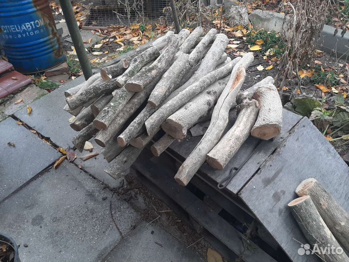 Древесина самшит