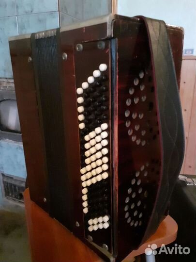 Баян Кирилловский. Северная Артель