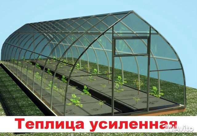 Теплицы для дачи 