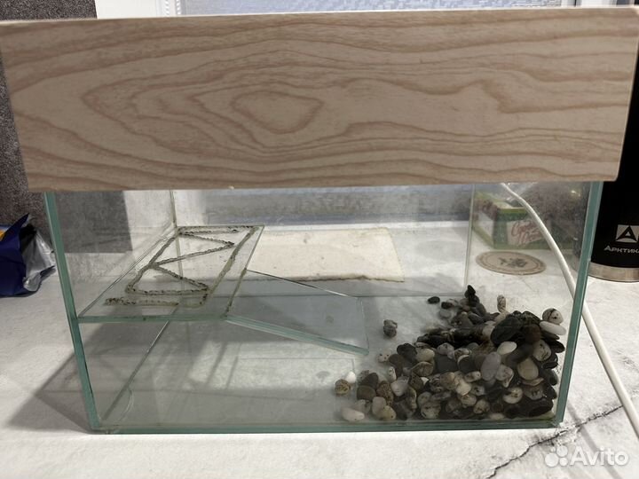 Аквариум для черепах