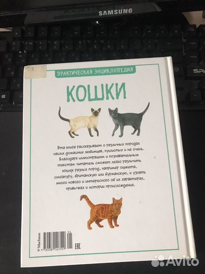 Книги про кошек
