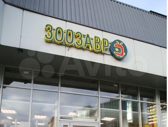 Торговое помещение, Зоозавр, 157.7 м²