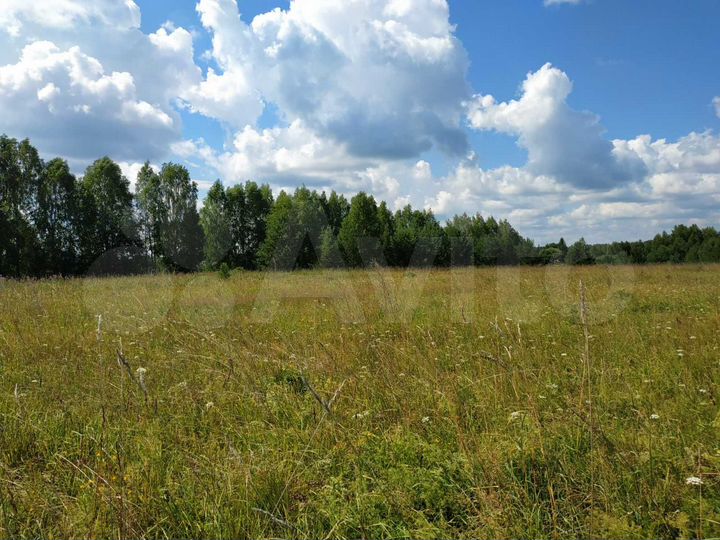 Участок 100 сот. (СНТ, ДНП)