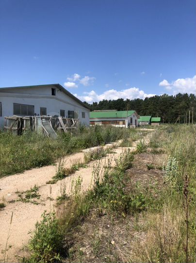 Участок 600 га (СНТ, ДНП)