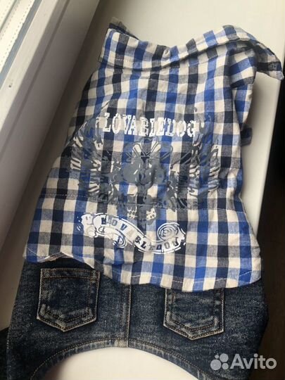 Собачий костюм