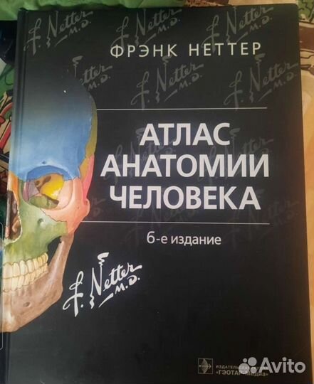 Атлас анатомии человека