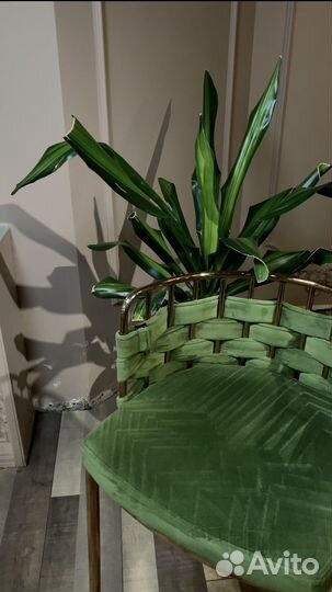 Химчистка диванов, кресел. Махачкала,Каспийск