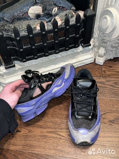 Raf simons ozweego