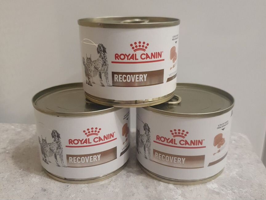 Консервы для кошек и собак. Royal Canin Recovery