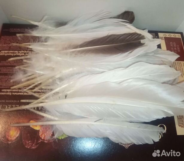 Перо гусиное