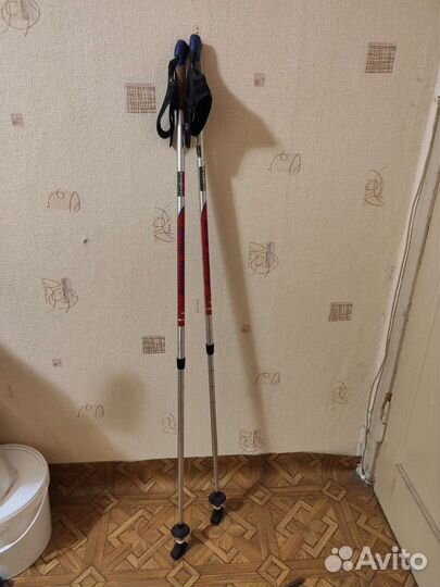 Палки для скандинавской ходьбы ergoforcer