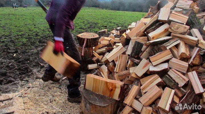 Дрова по безналу