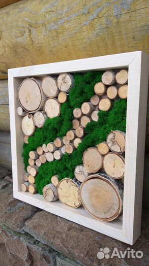 Панно мох и спилы дерева