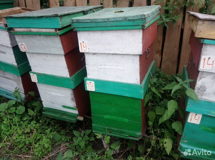 Ульи 2х корпусные