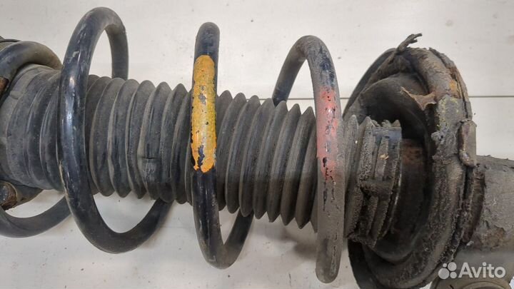 Амортизатор подвески Ford Focus 2, 2005