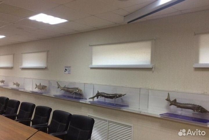 Рулонные шторы Y0678-H5865