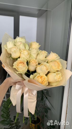 Розы кустовые и одноголовые