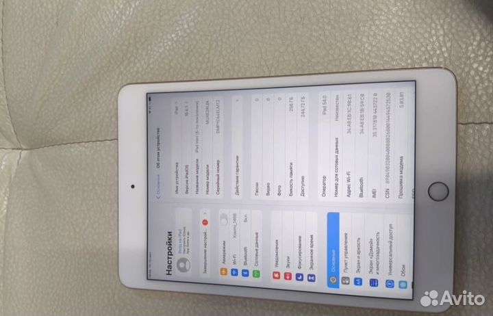 iPad mini 5 256gb