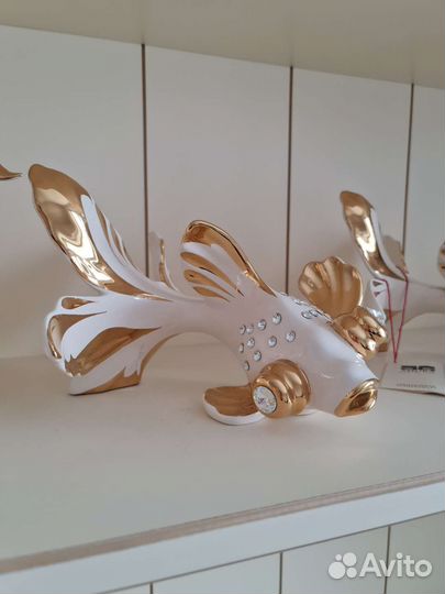 Золотые рыбки Ahura Италия