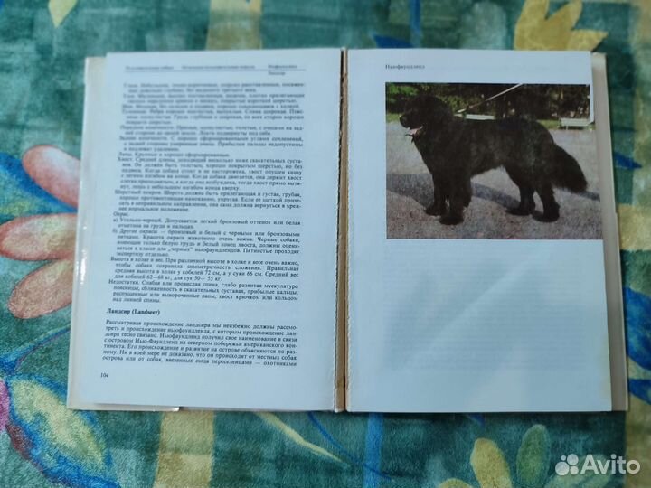 Атлас пород собак