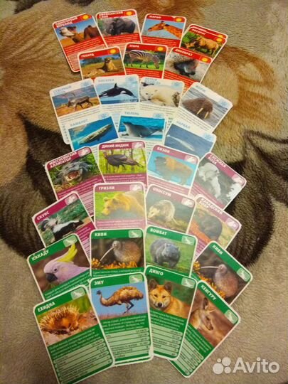 Карточки про животных