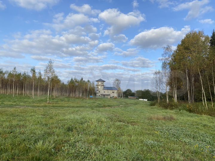 Участок 12 сот. (СНТ, ДНП)