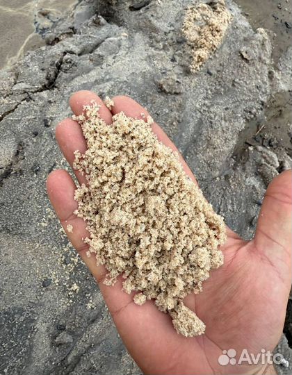 Песко соль
