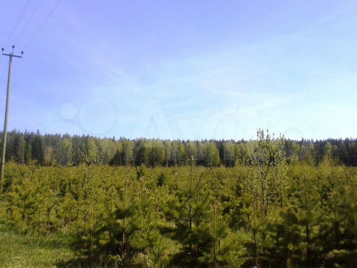 Участок 20 сот. (СНТ, ДНП)