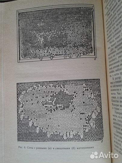 Пчеловодство