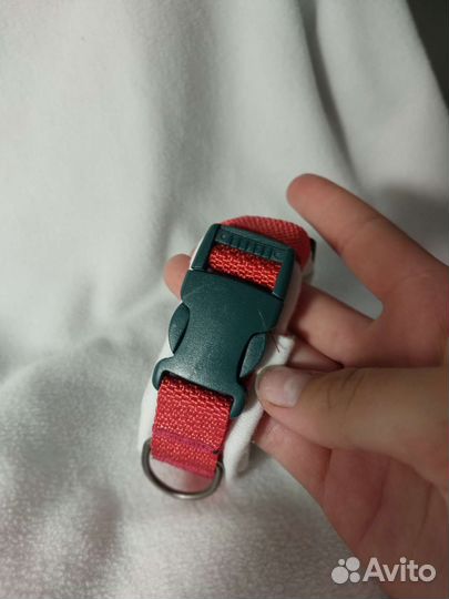 Амуниция для собак на заказ