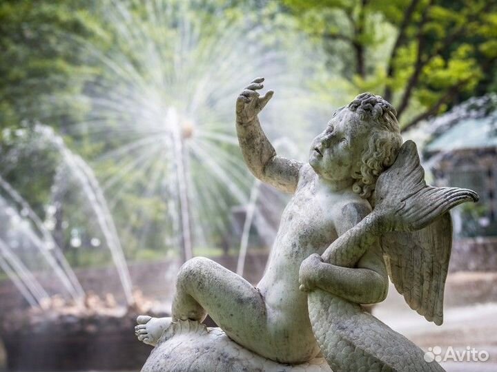 Экскурсия — Санкт-Петербург — Зимние Петергоф и Кр