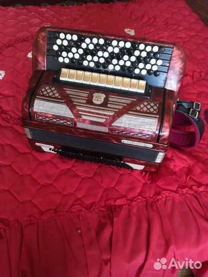 Баян weltmeister