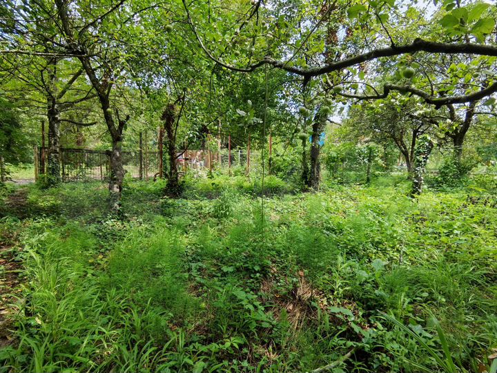 Участок 10,5 сот. (СНТ, ДНП)