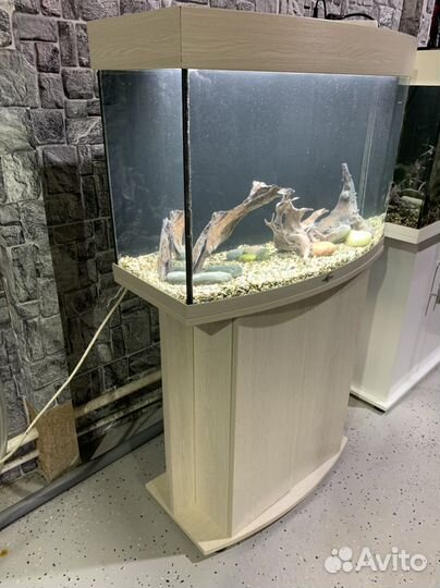Аквариум biodesign 100, доставка