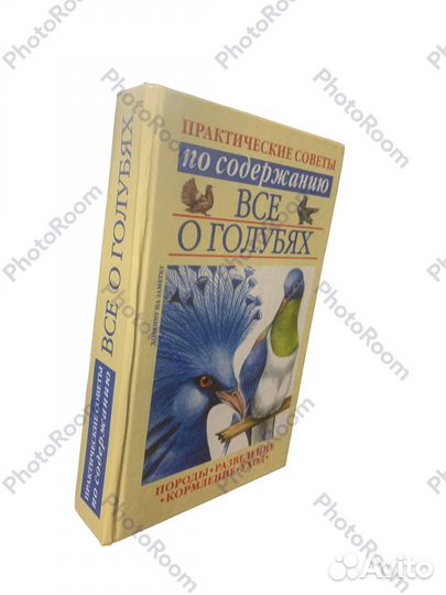Все о голубях