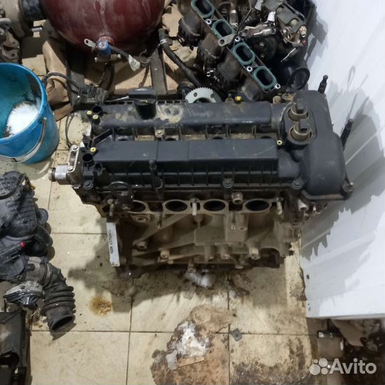 Двигатель на Ford Focus 3 2 литра