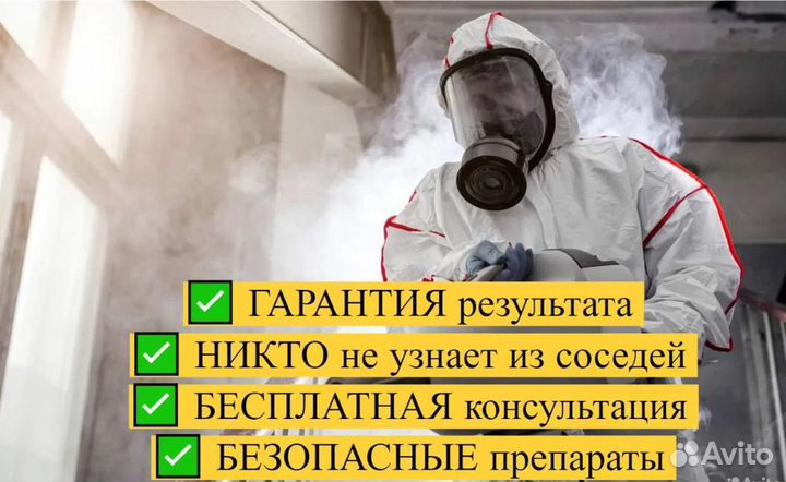 Уничтожение тараканов клопов Дезинсекция