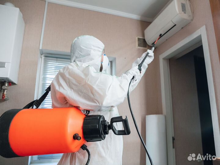 Уничтожение насекомых/Обработка от вредителей