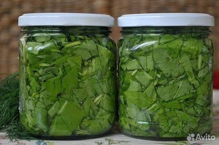 Щавель консервированный